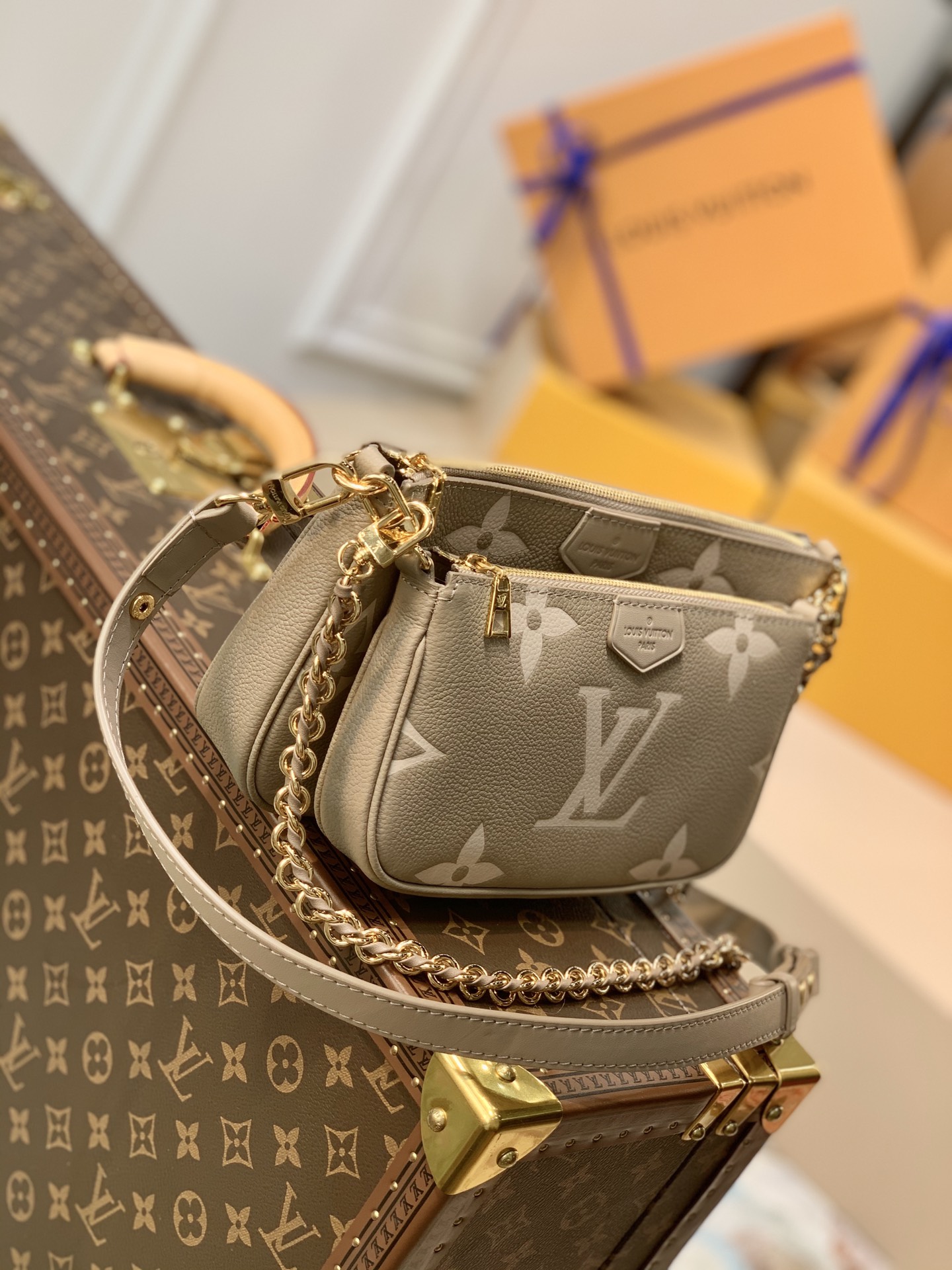 LV Satchel bags
